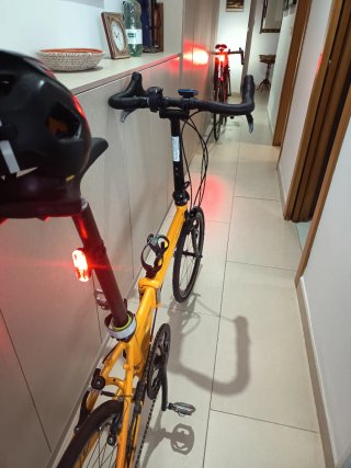 Dahon Speed TT Pro