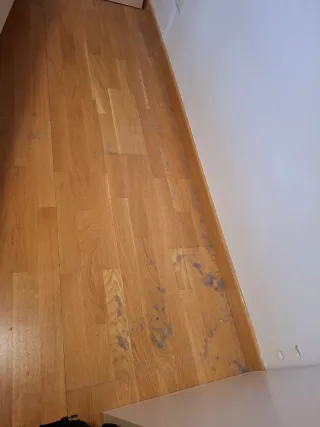 Servicios de limpieza