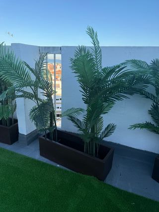 Cachepot com 2 Palmeiras Artificiais