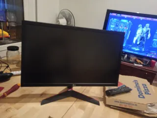 Monitor LG UltraGear 24GL600F Negro para despiece