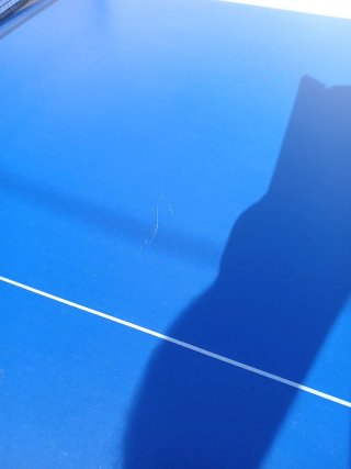 Mesa Ping Pong Cornilleau 300S Exterior