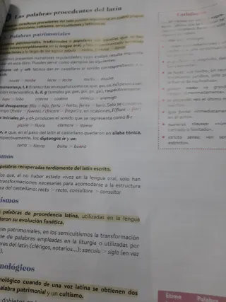 Lengua castellana y Literatura II 2º Bachillera...