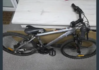 Bicicleta de Montaña Plateada