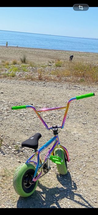 Mini BMX Wildcat original 2