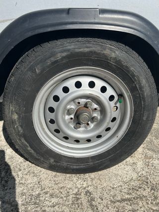 Remolque para perros