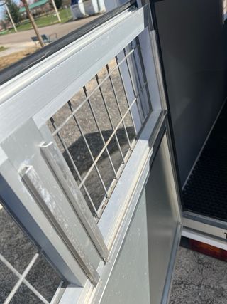 Remolque para perros