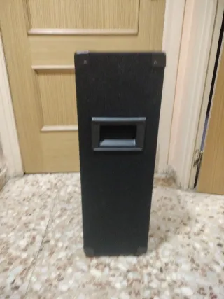 Altavoz MAX 800W Discoteca