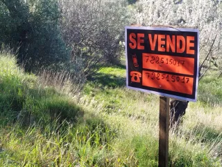 Terreno de olivar y almendros enganche de agua en.