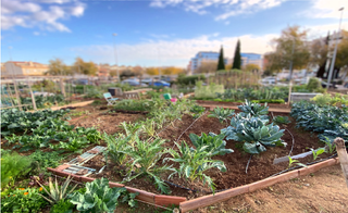 huertos carretera villamayor