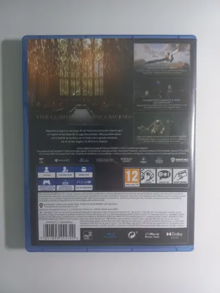 Hogwarts Legacy PS4 (Playstation 4)