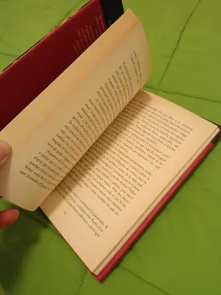 La filla del ganges: Història de una adopció