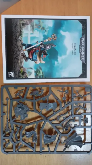 Vidente Aeldari Warhammer 40,000