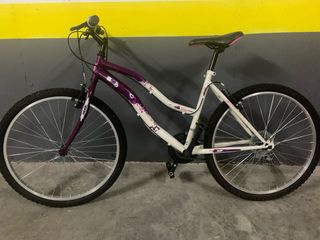 Bicicleta Morada y Blanca