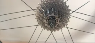 Ruedas Campagnolo Bullet 50