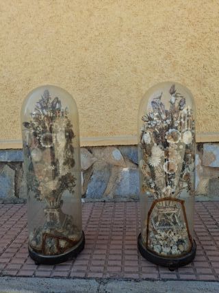 Pareja fanales antiguos con flores secas