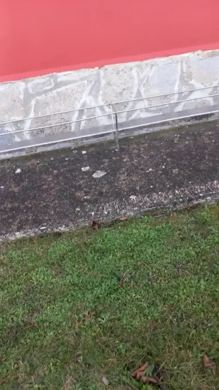 2 Estanterías lineal de acero inoxidable