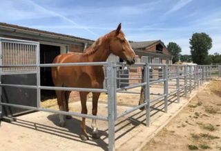 Fabricación e instalación de vallas para caballo