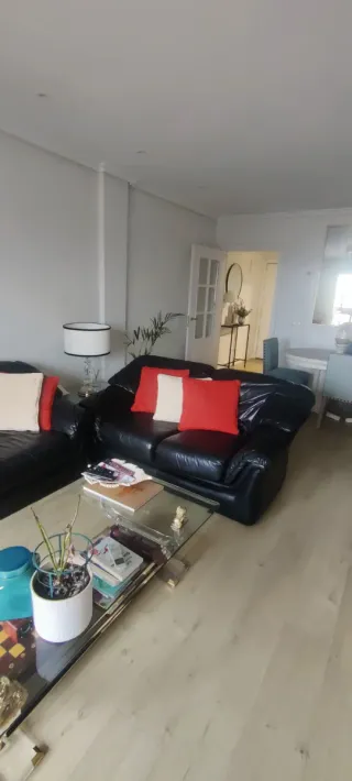 Sofás de piel negro con cojines