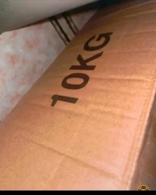 Manubri da 10 kg (coppia)