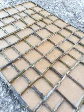 Expositor Organizador Monedas