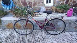 Bicicleta Clásica Urbana