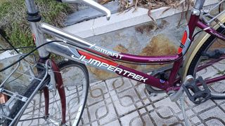 Bicicleta Clásica Urbana