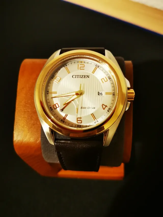 Reloj CITIZEN Eco-Drive OF Collection