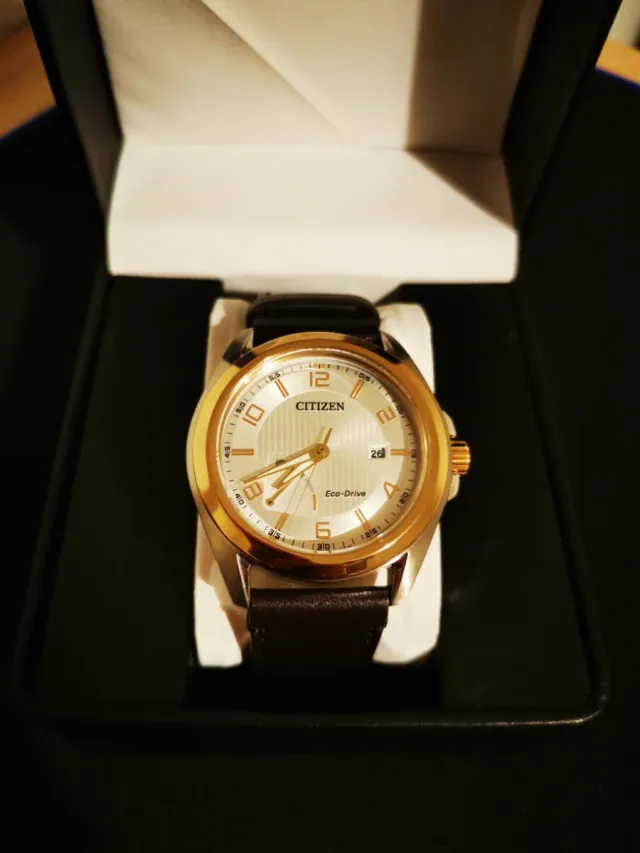 Reloj CITIZEN Eco-Drive OF Collection