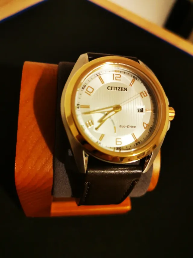 Reloj CITIZEN Eco-Drive OF Collection