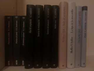 Lote 11 Libros V.C. Andrews y otros