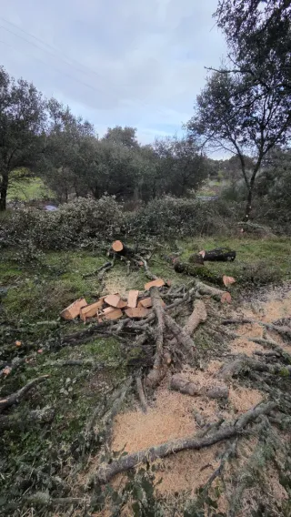 Desbroces y mantenimiento de parcelas