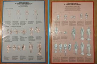 Colección El Cuerpo Humano (30 tomos)