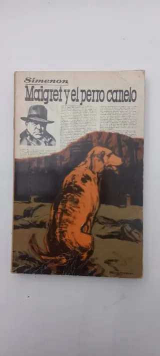 MAIGRET: NOVELAS POLICÍACAS A 2 €