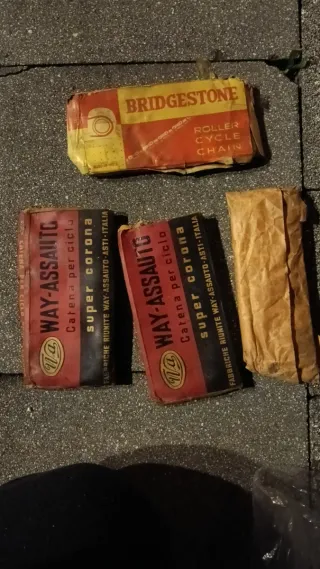 Catena per bicicletta Bridgestone e Way-Assauto