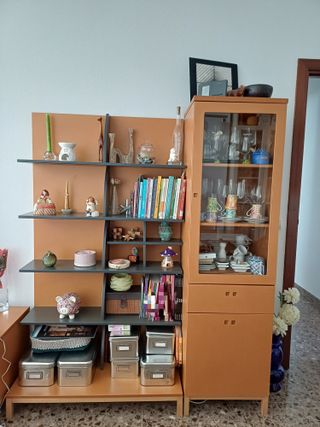 Estantería y vitrina de salón de madera y cristal.