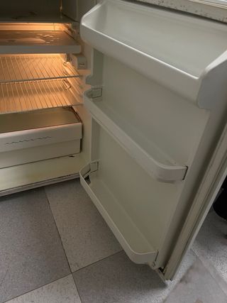 Nevera pequeña Aspes