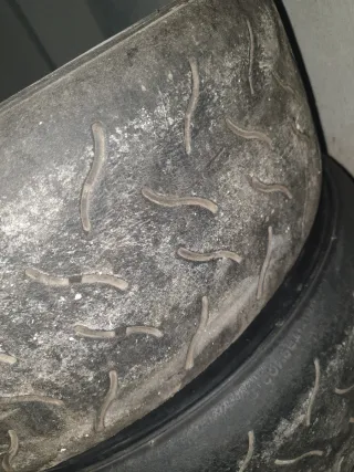 Neumáticos Hankook Slicks 14