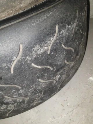 Neumáticos Hankook Slicks 14