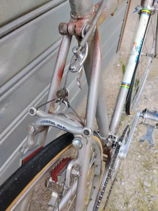 Bici Galmozzi 53x53 conservata