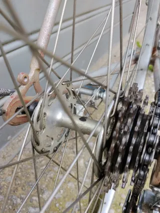 Bici Galmozzi 53x53 conservata