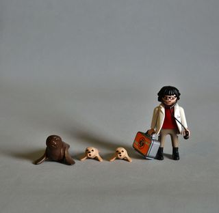 Playmobil Veterinaria con Focas