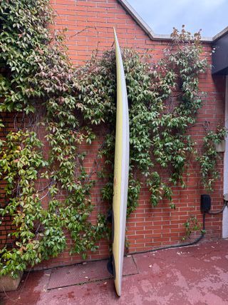 Equipo completo windsurf