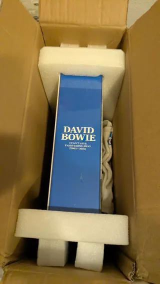 Caja David Bowie I Can't Give Everything camiseta