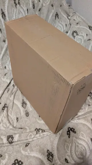 Caja David Bowie I Can't Give Everything camiseta