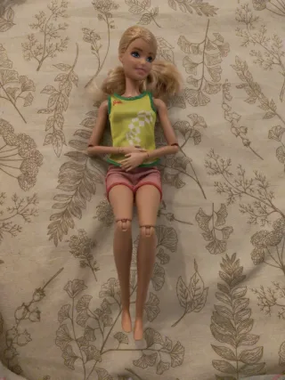 Barbie escaladora