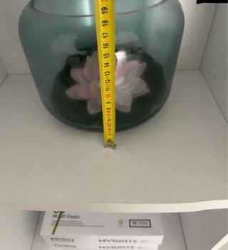 Vaso decorativo ninfea in vetro