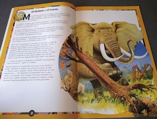 Lote cuentos El Mundo De Los Animales