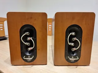 Q Acoustics altavoces monitor(sonido muy real)