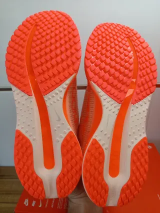 Nike Pegasus Premium T41