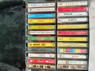 Lote de Cintas de Música Variada